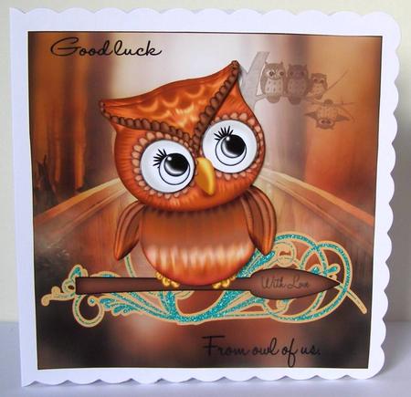 Good Luck from Owl of Us by Margaret McCartney