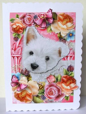 West Highland Terrier in Summer Flowers by Margaret McCartney