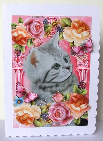 Grey Cat in Lovely Summer Flowers by Margaret McCartney