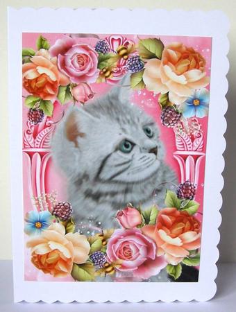 Grey Cat in Lovely Summer Flowers A4 by Margaret McCartney
