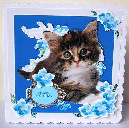 Lovely Kitten Card Decoupage Mini Kit by Margaret McCartney