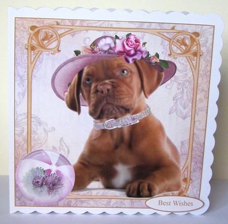 Loveable Pet Quick Topper with Insert by Margaret McCartney
