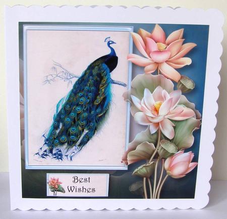 Peacock & Lotus Blooms 8x8 by Margaret McCartney