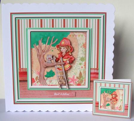 Cat Rescue Mini Kit (multi-uses) by Margaret McCartney