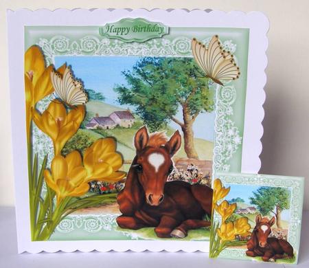 Pretty Foal Laying Down in the Meadow with Crocuses 8x8 by Margaret McCartney