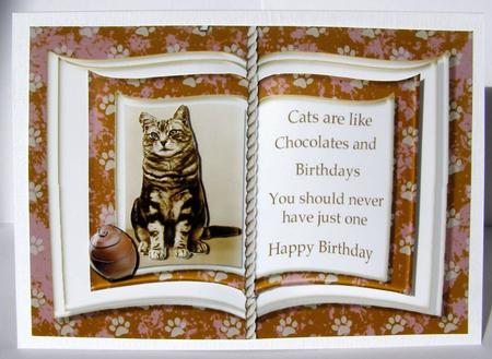 Cat Lovers Birthday Book Card by Margaret McCartney