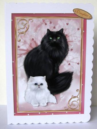 Cat and Kitten by Margaret McCartney