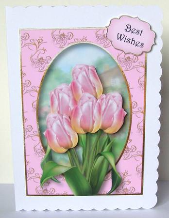 Pretty Pink Tulips A5 by Margaret McCartney