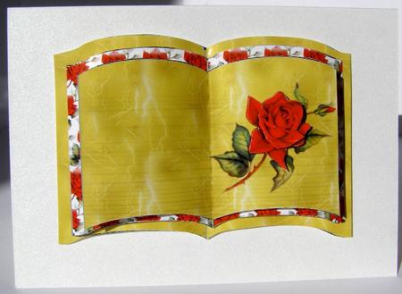 A Rose Book by Margaret McCartney