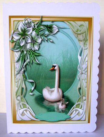 A4 Swansong and Winter Flowers  by Margaret McCartney