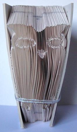 Owl by Margaret McCartney