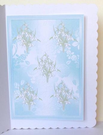 Snowdrops Watercolour Vellum by Margaret McCartney