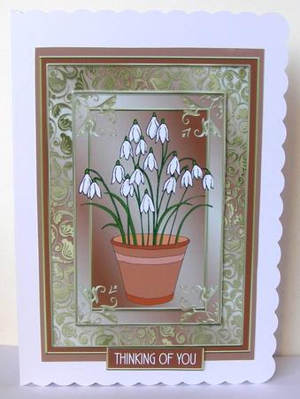 A Pot of Snowdrops by Margaret McCartney