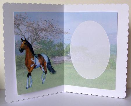 Beautiful Palamino Horse Insert by Margaret McCartney