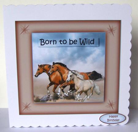 Born to Be Wild by Margaret McCartney