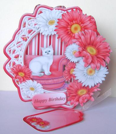 Pampered Kitty Fancy Hexagon Card Mini Kit by Margaret McCartney