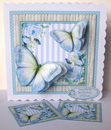 Woodland Butterflies by Margaret McCartney