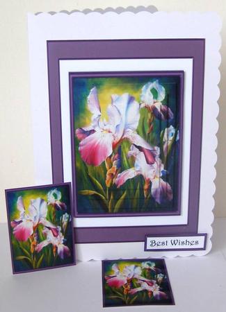 Gorgeous Watercolour Iris Mini Kit by Margaret McCartney