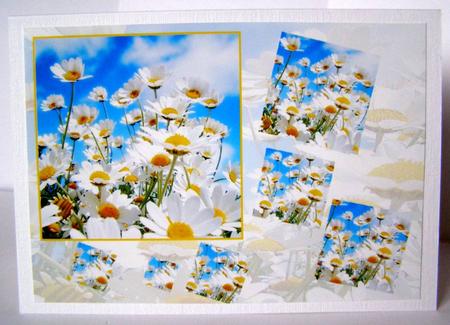 Spring Day 2 by Margaret McCartney