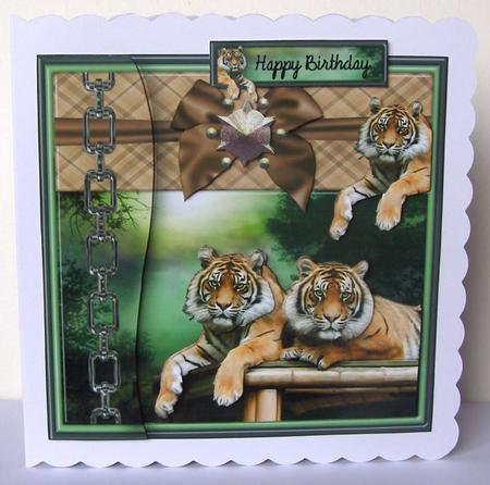 Relaxing Tigers by Margaret McCartney