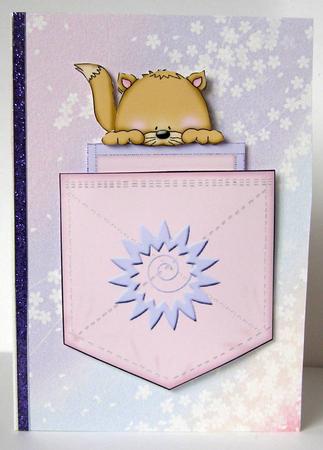 Pink Pocket Cat by Margaret McCartney