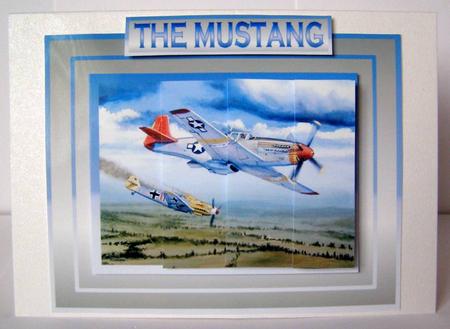 The Mustang by Margaret McCartney