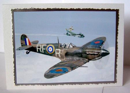 Supermarine Spitfires by Margaret McCartney