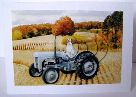 Meerkats - Sonny & Fergie the Ferguson Tractor by Margaret McCartney