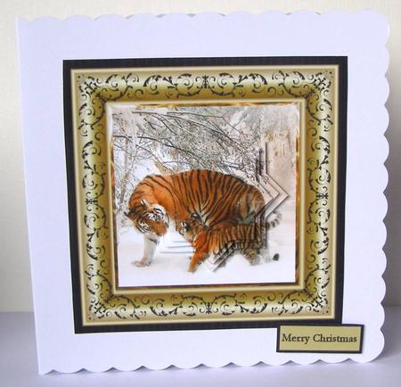 Tigers Playing Approx 6x6 Card with Shaped Layers by Margaret McCartney