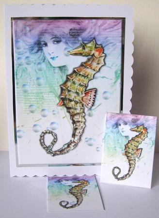Seahorse by Margaret McCartney