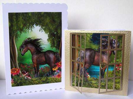 Wild Horse by Margaret McCartney