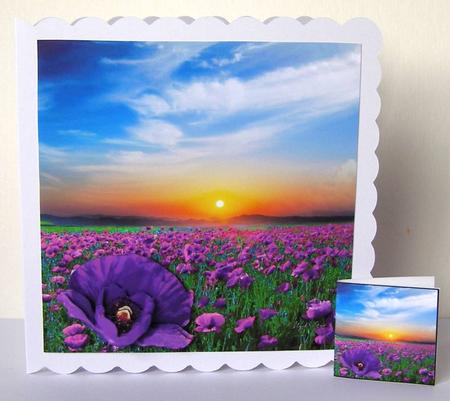 Simply Poppies - Purple Poppy Field Decoupage & Matching Tag by Margaret McCartney