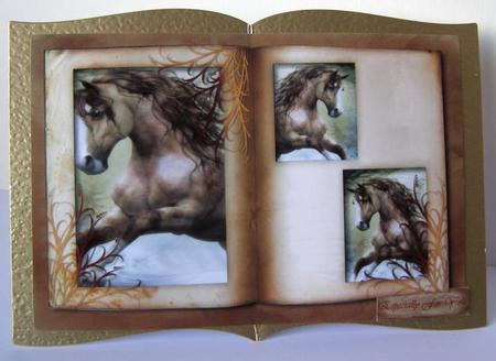 Male Card Horses Book by Margaret McCartney