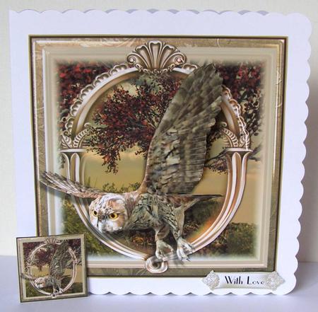 The Tawny Owl Card Front Kit by Margaret McCartney