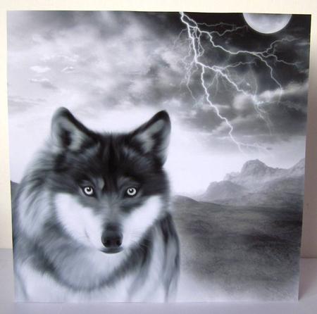 Mixed Backgrounds by Margaret McCartney