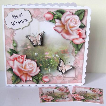 Pink Roses & Butterflies by Margaret McCartney