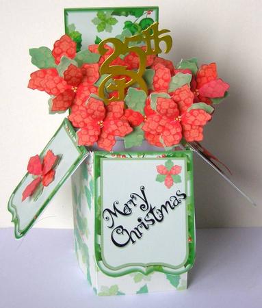 Poinsettia -3D Box of Flowers by Margaret McCartney
