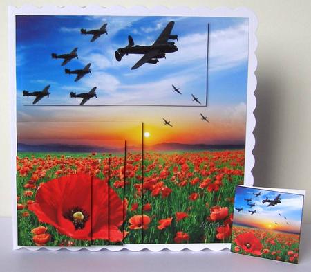 Simply Poppies - Red Poppy Field Fly Over Pyrimage + Ins+tag by Margaret McCartney