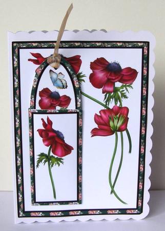 Anemone Bookmark Card by Margaret McCartney