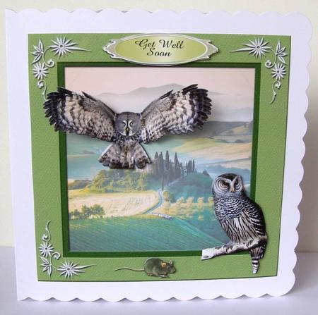 Colourful Birds Series - Quick Card 3 by Margaret McCartney