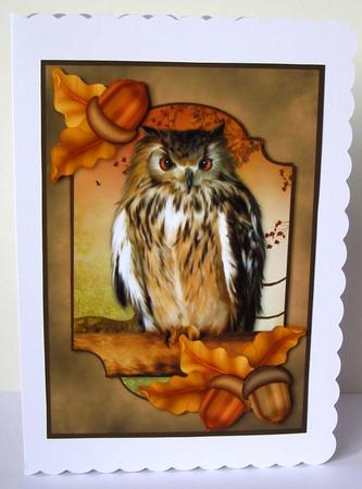 Autumn Owl by Margaret McCartney