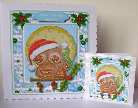 Have a Hoot of a Christmas  by Margaret McCartney
