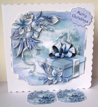 Christmas Gift & Wynter Flowers by Margaret McCartney