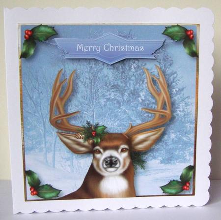 The Christmas Stag by Margaret McCartney