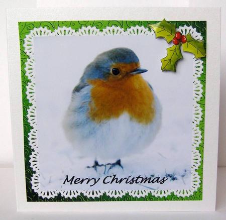 Beautiful 8x8 Robin Quick Card by Margaret McCartney