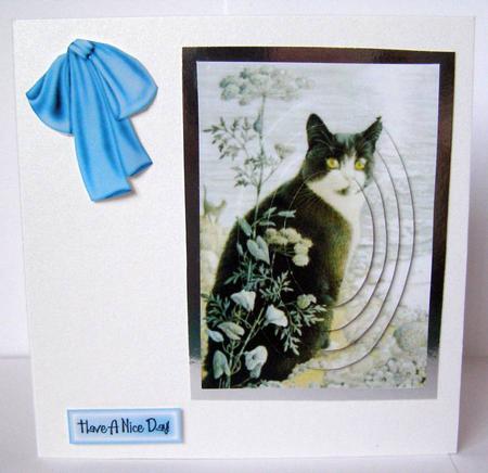 Black Cat, Oval Pyramids by Margaret McCartney
