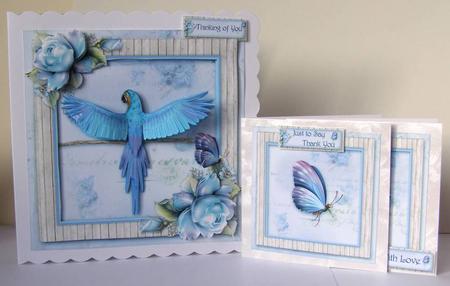 Parrots Paradise by Margaret McCartney