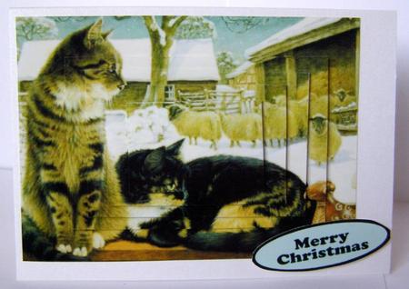 Winter Cats, Square Pyramids by Margaret McCartney