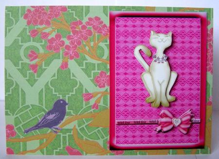 A Jewel of a Cat by Margaret McCartney