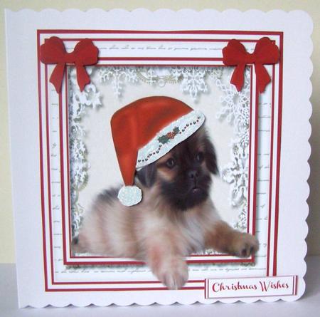 Lovely Pequinese in His Christmas Hat by Margaret McCartney